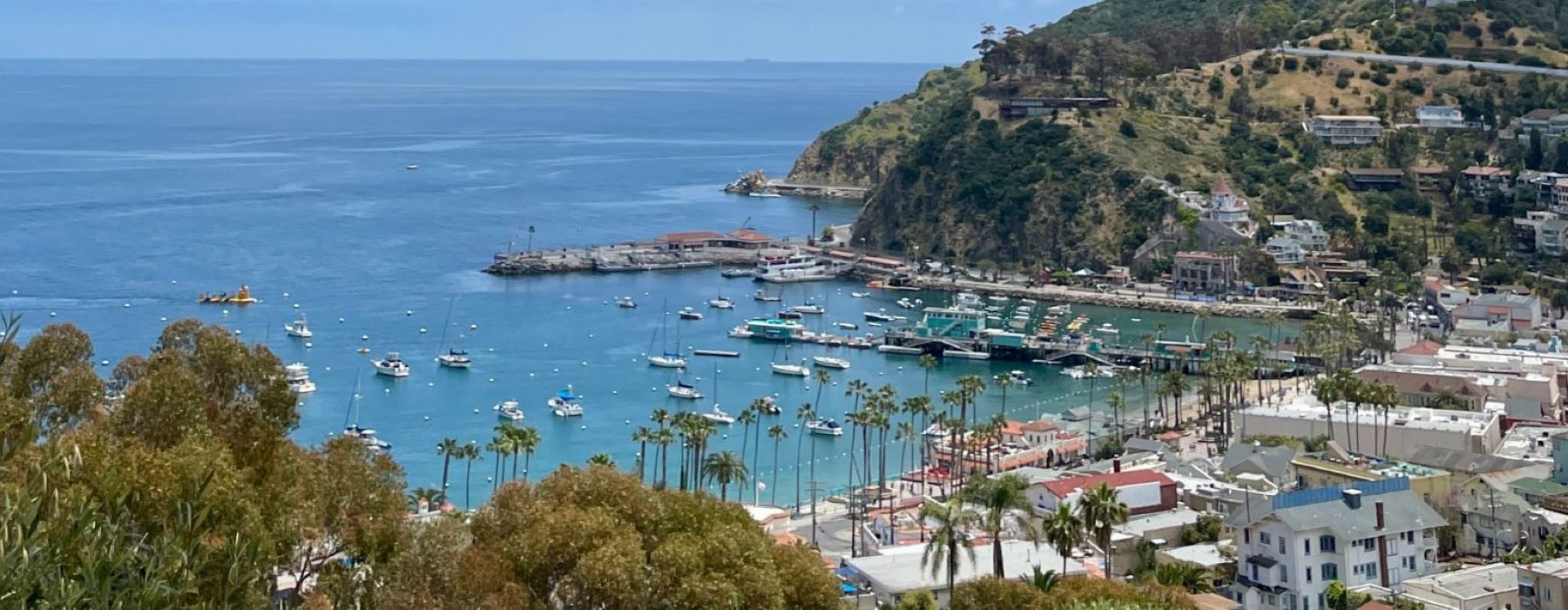 avalon harbor on catalina island