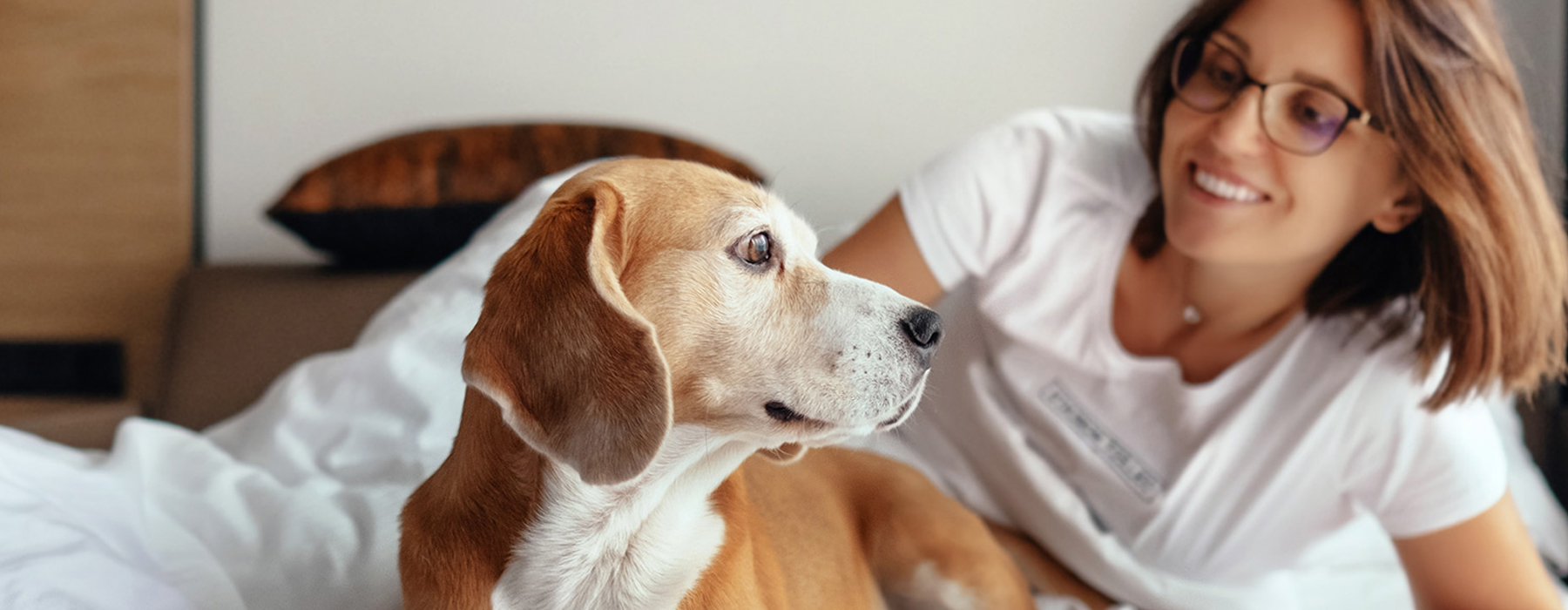 Pet-Friendly